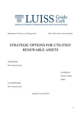 Strategic Options for Utilities' Renewable Assets