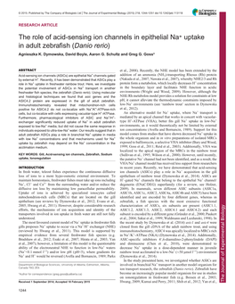 The Role of Acid-Sensing Ion Channels in Epithelial Na+ Uptake in Adult Zebrafish (Danio Rerio) Agnieszka K