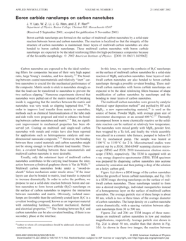 Boron Carbide Nanolumps on Carbon Nanotubes J