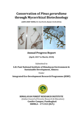 Conservation of Pinus Gerardiana Through Mycorrhizal Biotechnology