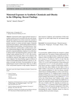 Maternal Exposure to Synthetic Chemicals and Obesity in the Offspring: Recent Findings