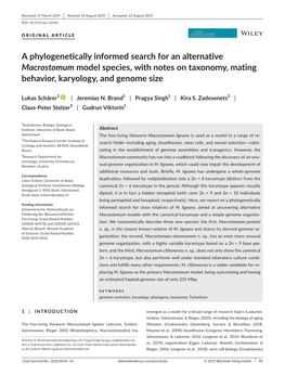 A Phylogenetically Informed Search for an Alternative Macrostomum Model Species, with Notes on Taxonomy, Mating Behavior, Karyology, and Genome Size