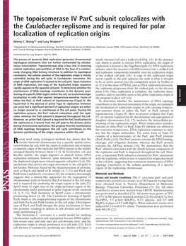 The Topoisomerase IV Parc Subunit Colocalizes with the Caulobacter Replisome and Is Required for Polar Localization of Replication Origins