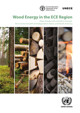 Wood Energy in the ECE Region