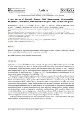 A New Species of Boethella Bennett, 2003 (Hymenoptera: Ichneumonidae: Tryphoninae) from Brazil, Redescription of the Genus and a Key to World Species