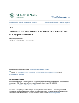 The Ultrastructure of Cell Division in Male Reproductive Branches of Polysiphonia Denudata