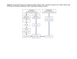 Respiratory Syncytial Virus; Itraq: Isobaric Tags for Relative and Absolute Quantification; Deps: Differentially Expressed Proteins