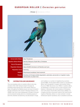 EUROPEAN ROLLER | Coracias Garrulus