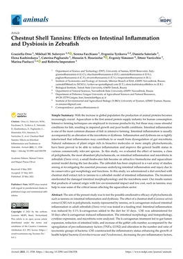 Effects on Intestinal Inflammation and Dysbiosis in Zebrafish