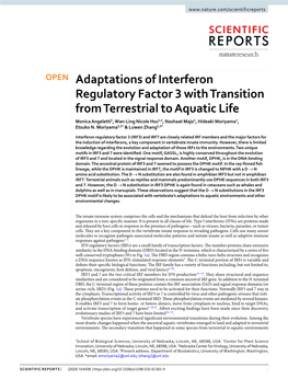 Adaptations of Interferon Regulatory Factor 3 with Transition from Terrestrial to Aquatic Life