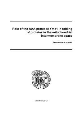 Role of the AAA Protease Yme1 in Folding of Proteins in the Mitochondrial Intermembrane Space
