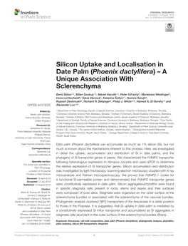 Silicon Uptake and Localisation in Date Palm (Phoenix Dactylifera)–A Unique Association with Sclerenchyma