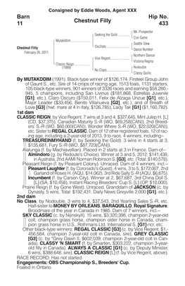 Chestnut Filly Barn 11 Hip No