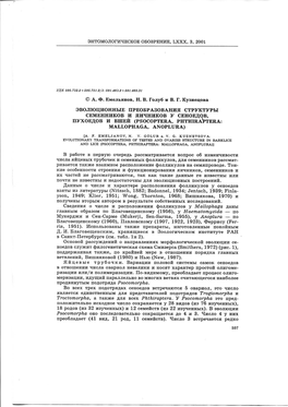 Emeljanov Golub 2001 Testes.Pdf