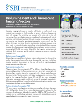 Bioluminescent and Fluorescent Imaging Vectors Lentivectors and Minicircle Dnas for Non-Invasive Monitoring of Cellular Dynamics in Vivo