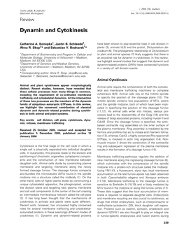 Dynamin and Cytokinesis