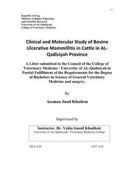 Clinical and Molecular Study of Bovine Ulcerative Mammillitis in Cattle in AL- Qadisiyah Province