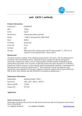 Anti- AK3L1 Antibody