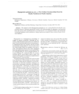 Hypogymnia Apinnata Sp. Nov., a New Lichen (Ascomycotina) from the Pacific Northwest of North America
