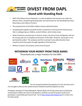 Banks-Funding-Dapl-Flyer-2