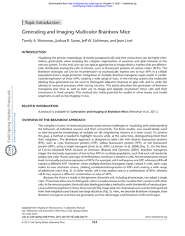 Generating and Imaging Multicolor Brainbow Mice