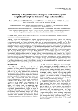 Taxonomy of the Genera Scaeva, Simosyrphus and Ischiodon (Diptera: Syrphidae): Descriptions of Immature Stages and Status of Taxa