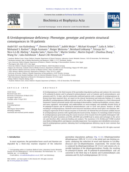 ß-Ureidopropionase Deficiency