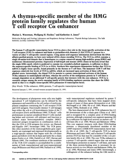 A Thymus-Specific Member of the HMG Protein Family Regulates the Human T Cell Receptor Enhancer