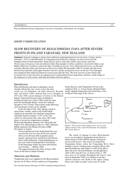Slow Recovery of Beilschmiedia Tawa After