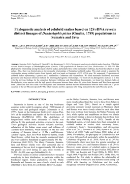 Phylogenetic Analysis of Colubrid Snakes Based on 12S Rdna Reveals Distinct Lineages of Dendrelaphis Pictus (Gmelin, 1789) Populations in Sumatra and Java