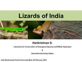 Lizards of India