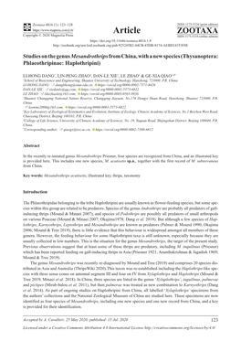 Studies on the Genus Mesandrothrips from China, with a New Species (Thysanoptera: Phlaeothripinae: Haplothripini)