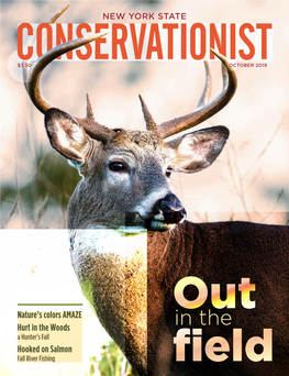 October 2019 New York State Conservationist Magazine