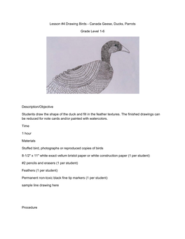 Lesson #4 Drawing Birds - Canada Geese, Ducks, Parrots