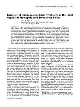 Evidence of Luminous Bacterial Symbionts in the Light Organs Of