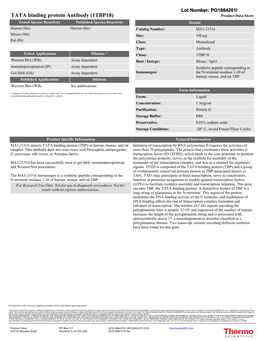 TATA Binding Protein Antibody (1TBP18)