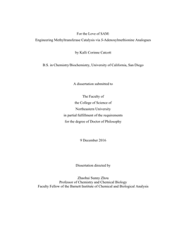 For the Love of SAM: Engineering Methyltransferase Catalysis Via S-Adenosylmethionine Analogues