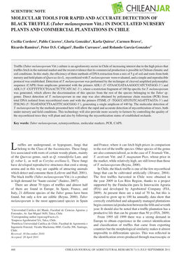 Tuber Melanosporum Vitt.) in INOCULATED NURSERY PLANTS and COMMERCIAL PLANTATIONS in CHILE