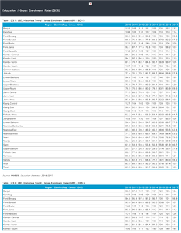 Education / Gross Enrolment Rate (GER)