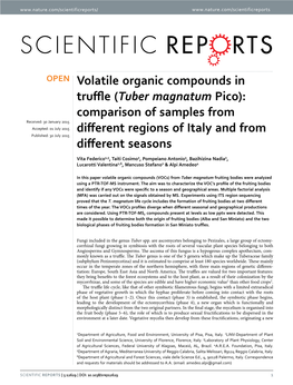 Volatile Organic Compounds in Truffle (Tuber Magnatum Pico)