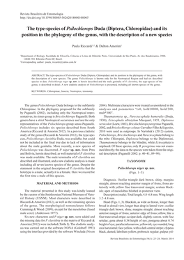 The Type-Species of Psilochlorops Duda (Diptera, Chloropidae) and Its Position in the Phylogeny of the Genus, with the Description of a New Species