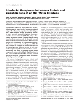 Interfacial Complexes Between a Protein and Lipophilic Ions at an Oil-Water Interface