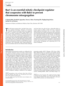 Rae1 Is an Essential Mitotic Checkpoint Regulator That Cooperates with Bub3 to Prevent Chromosome Missegregation