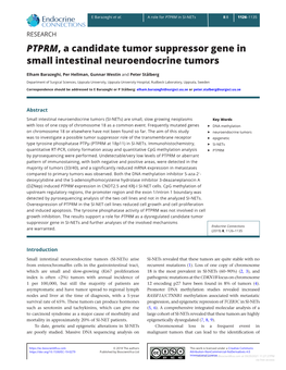 PTPRM, a Candidate Tumor Suppressor Gene in Small Intestinal Neuroendocrine Tumors