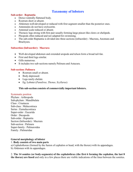 Taxonomy of Lobsters Sub-Order: Reptantia  Dorso-Ventrally Flattened Body