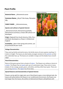 Alstromeria.Pdf