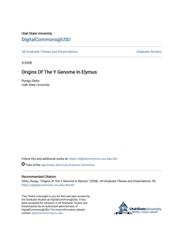 Origins of the Y Genome in Elymus