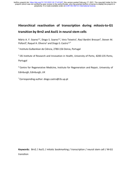 Hierarchical Reactivation of Transcription During Mitosis-To-G1 Transition by Brn2 and Ascl1 in Neural Stem Cells