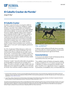 El Caballo Cracker De Florida1 Jorge R