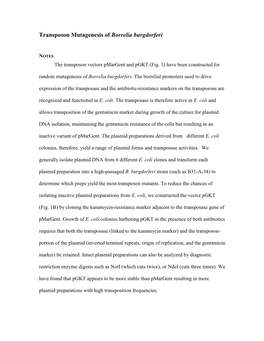 Transposon Mutagenesis of Borrelia Burgdorferi